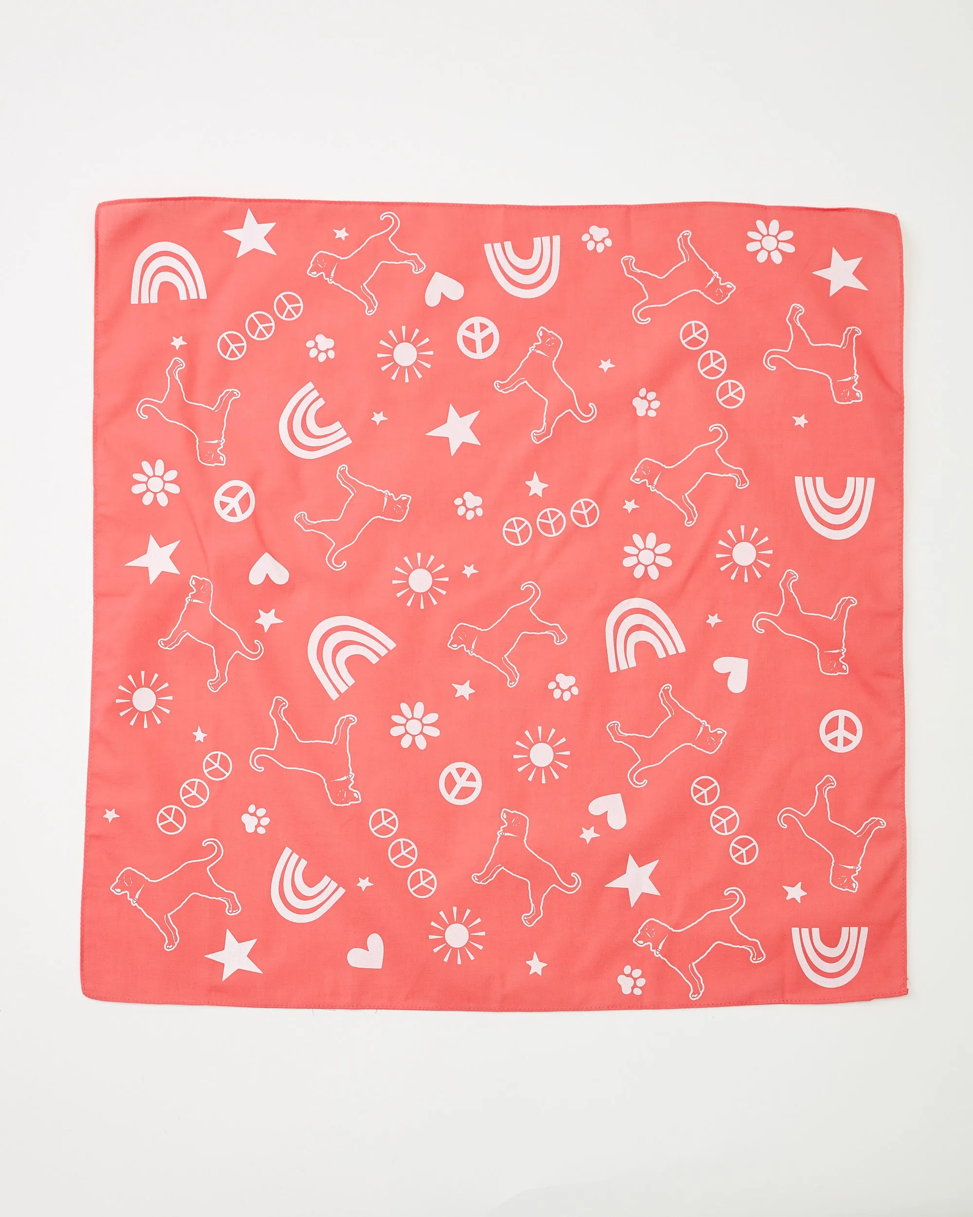 Black Dog Rainbow Bandana