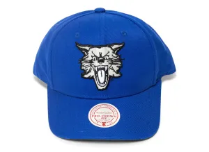 Mitchell & Ness NCAA Kentucky Wildcats Cat Head Pro Crown Snapback Hat xld