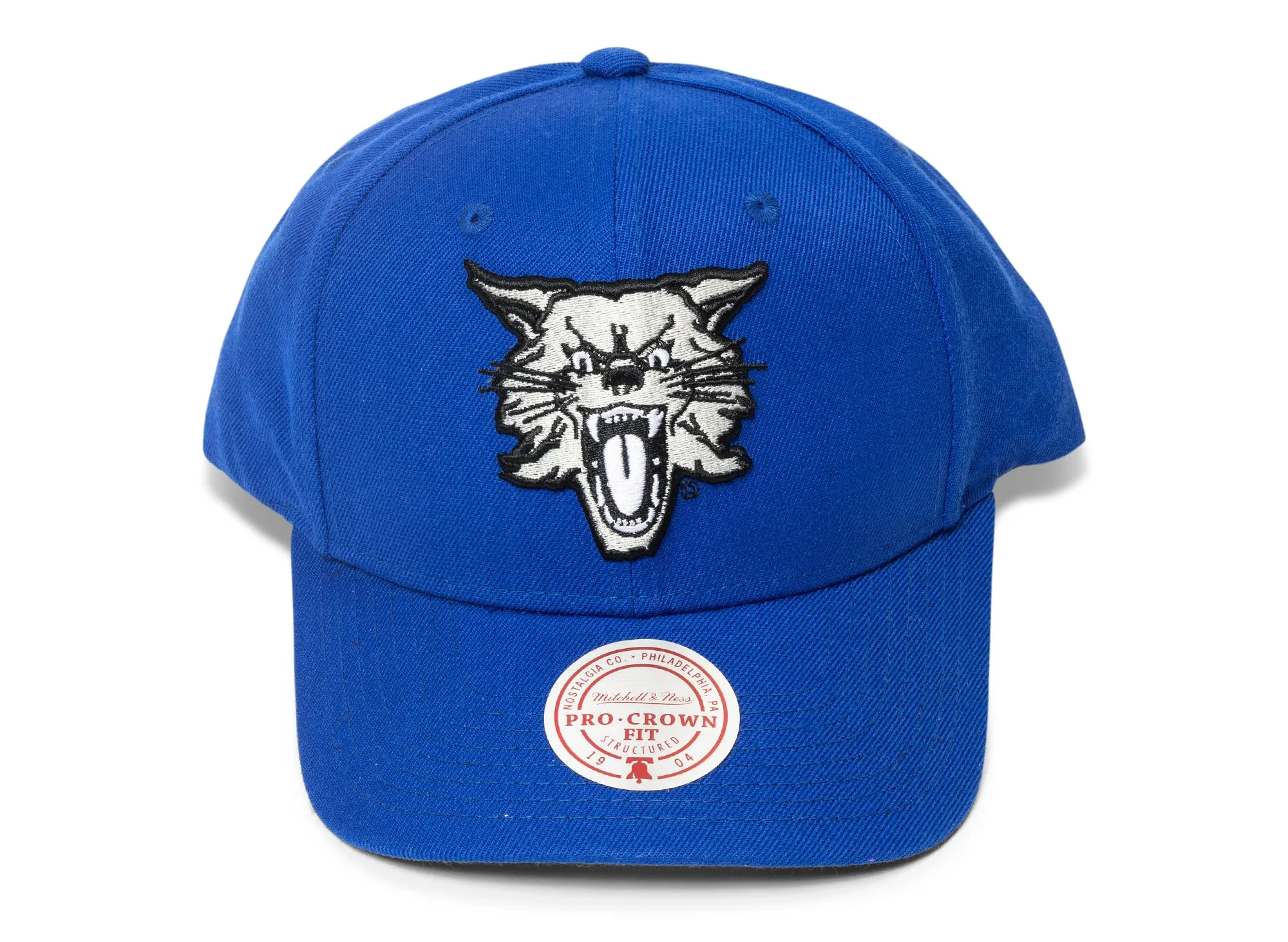 Mitchell & Ness NCAA Kentucky Wildcats Cat Head Pro Crown Snapback Hat xld