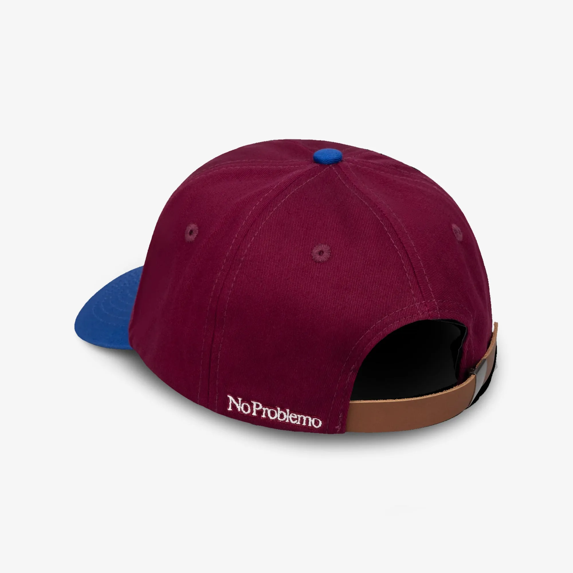 NO PROBLEMO | ALIEN-O CAP { BURGUNDY MULTI