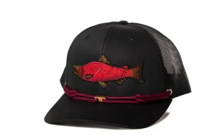 Salmon 112