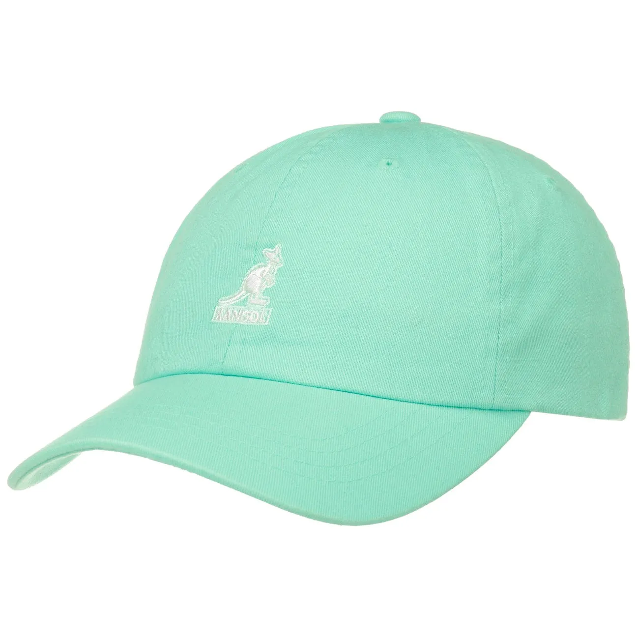 Washed Dad Hat Baseball Cap by Kangol