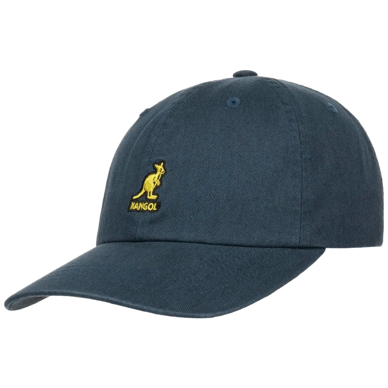 Washed Dad Hat Baseball Cap by Kangol