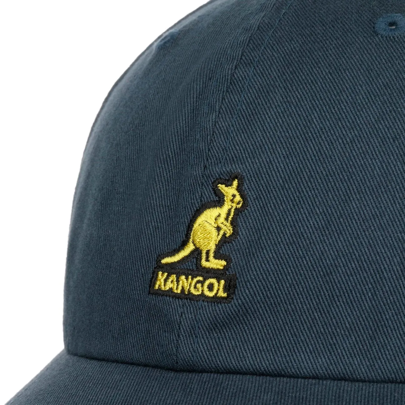 Washed Dad Hat Baseball Cap by Kangol