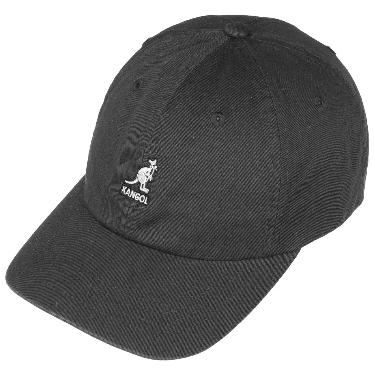 Washed Dad Hat Baseball Cap by Kangol