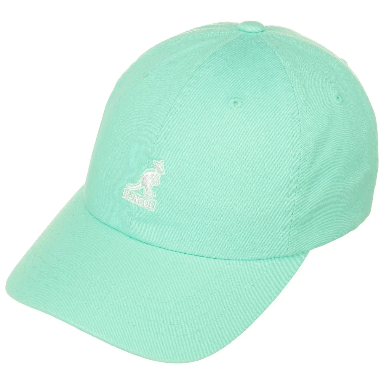 Washed Dad Hat Baseball Cap by Kangol